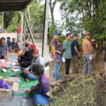 Sebanyak 80 Petani Swadaya di Kotim Ikuti Sekolah Lapangan Kelapa Sawit