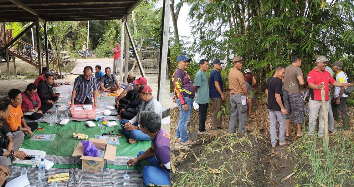 Sebanyak 80 Petani Swadaya di Kotim Ikuti Sekolah Lapangan Kelapa Sawit