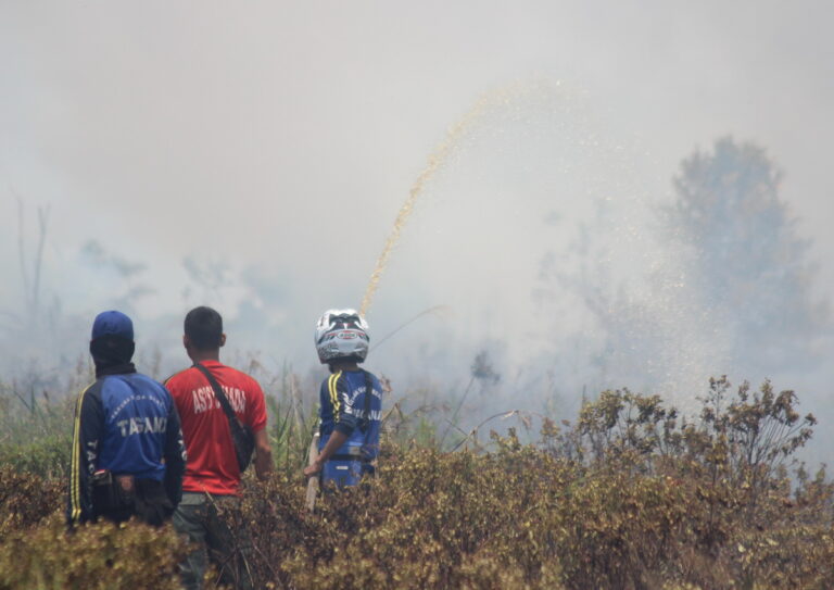 Sumatra Dilanda Kemarau, 46 Hektare Hutan dan Lahan Terbakar