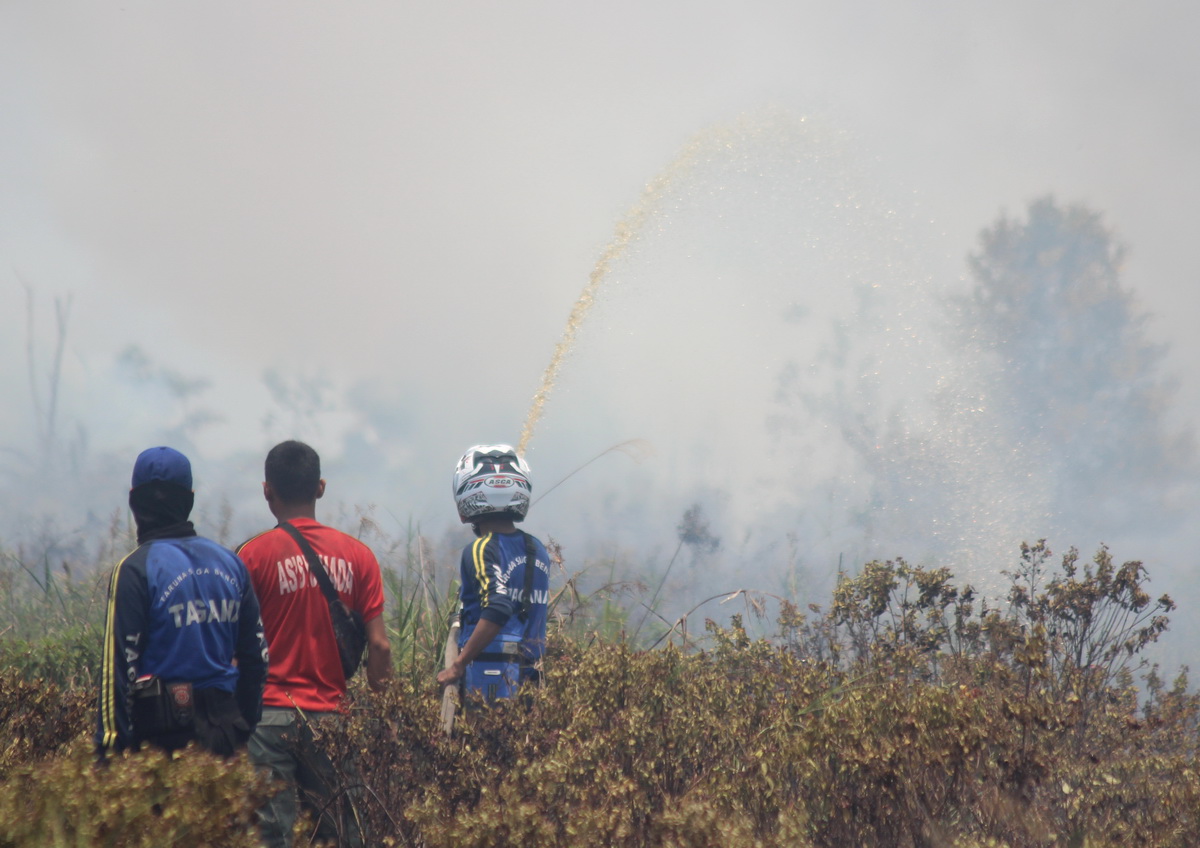Karhutla di Kalsel Hanguskan 150 Hektare Lahan
