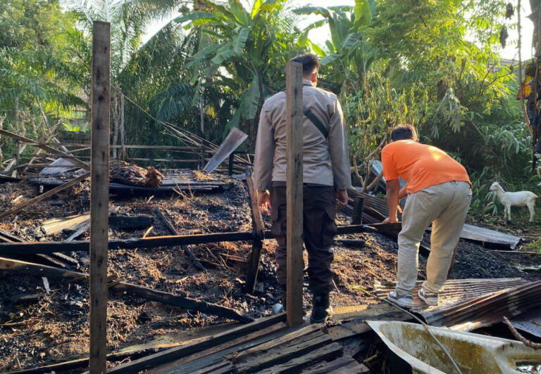 Kandang Ternak di Menteng VIII Terbakar, Lima Kambing jadi Arang
