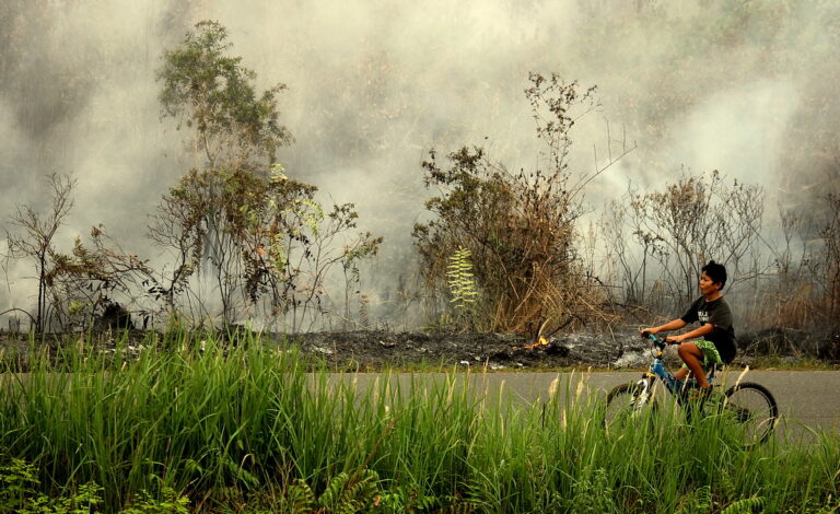 Kalteng Masuki Musim Kemarau, BPBD: Waspada Karhutla