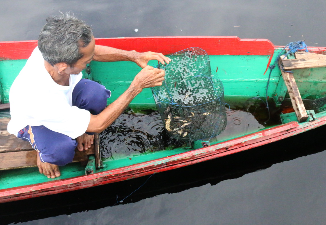 Pemkot Palangka Raya Awasi Potensi Penangkapan Ikan Secara Ilegal