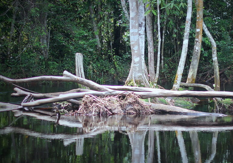 Warga Katingan Hilang Misterius, Disebut Masuk Alam Gaib “Amin Kelaru”