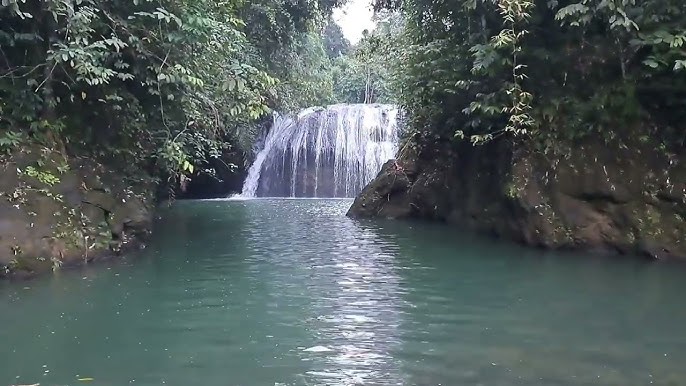 Update Pencarian Helikopter Rute Kotabaru-Palangka Raya, Diduga Jatuh di Lokasi Ini